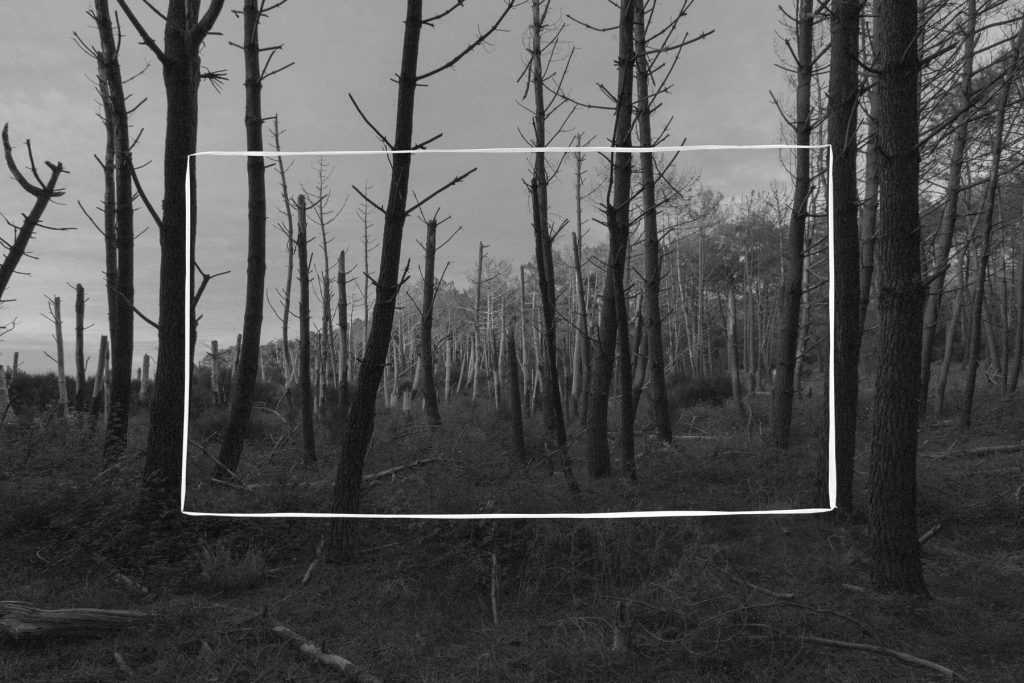 Video Still: Aires